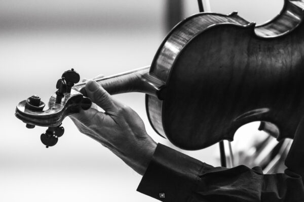 Ensemble il capriccio