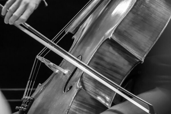 Lionel Martin, Cello & Demian Martin, Klavier