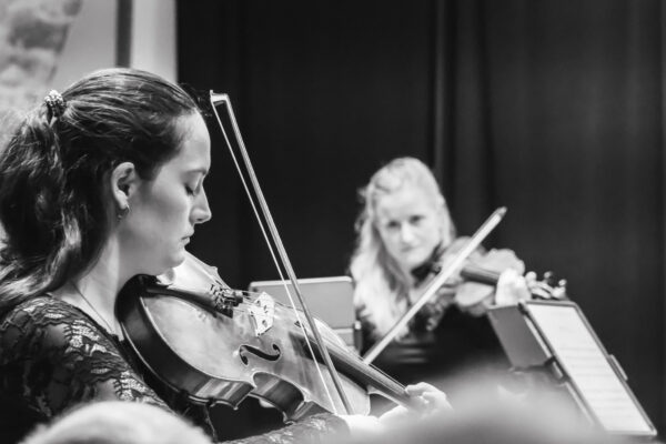 Konzertförderung Deutscher Musikwettbewerb<br>Elaia Quartett